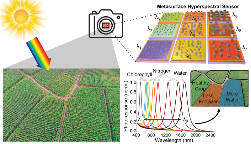 A new type of lightweight, inexpensive hyperspectral camera could enable precision agriculture. This graphic shows how different pixels can be tuned to specific frequencies of light that indicate the various needs of a crop field.