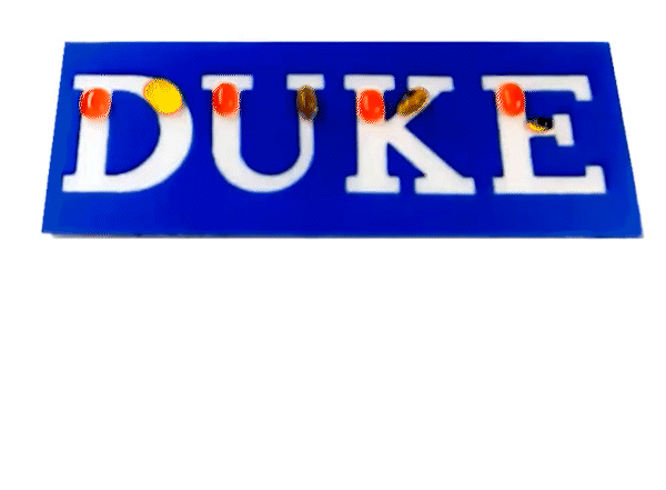 DUKE etched in blue board slowly rotating down as colored droplets within the letters slide down