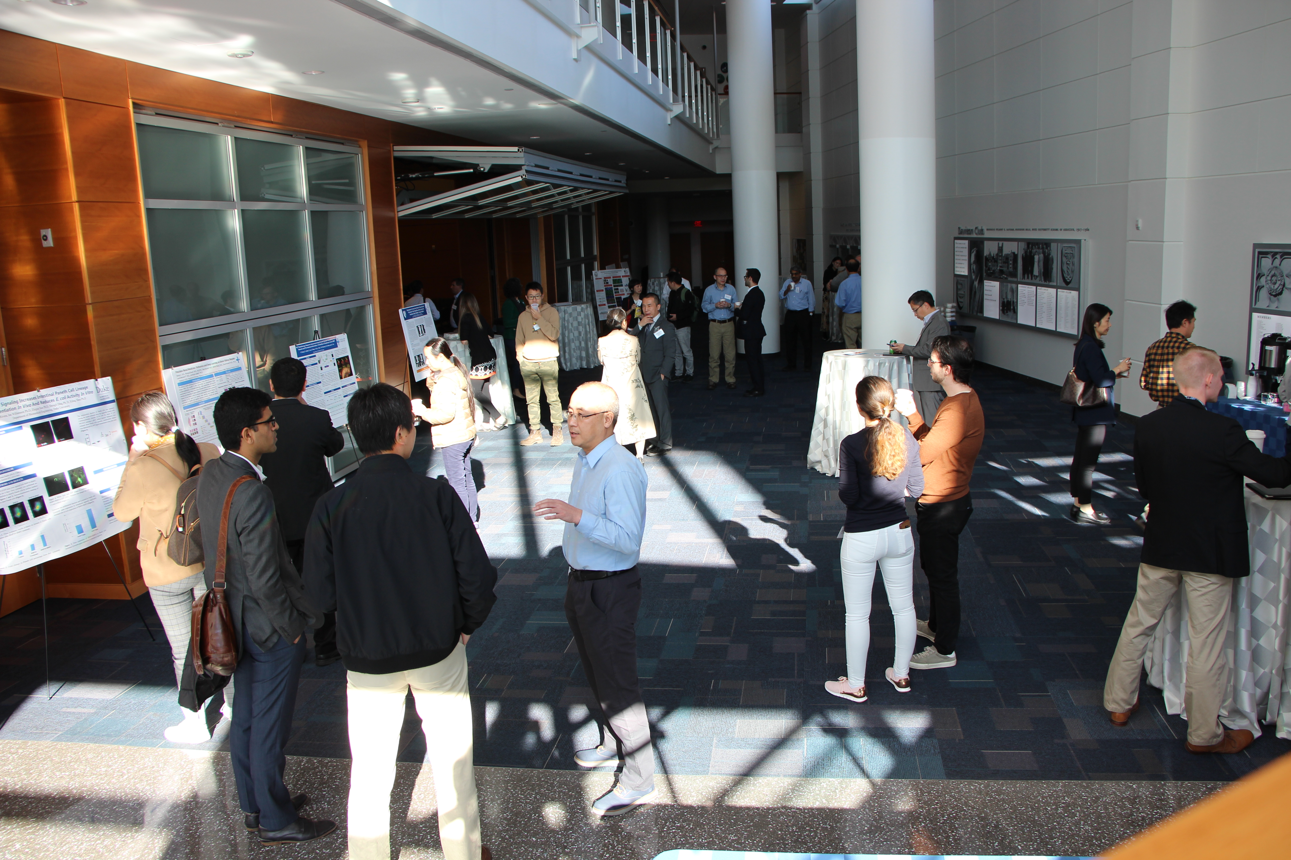 The crowd chats and explores the posters during a break at the DAP symposium