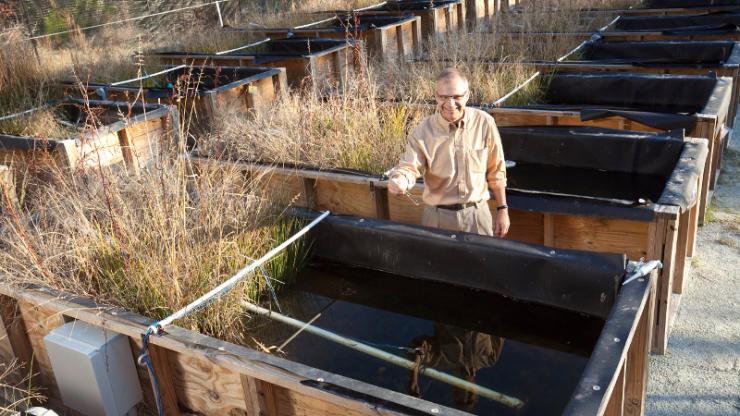 Mark Wiesner stands with mesocosms designed to explore the impact of nanoparticles on the environment