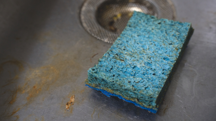 A dirty sponge in a dirty metal sink