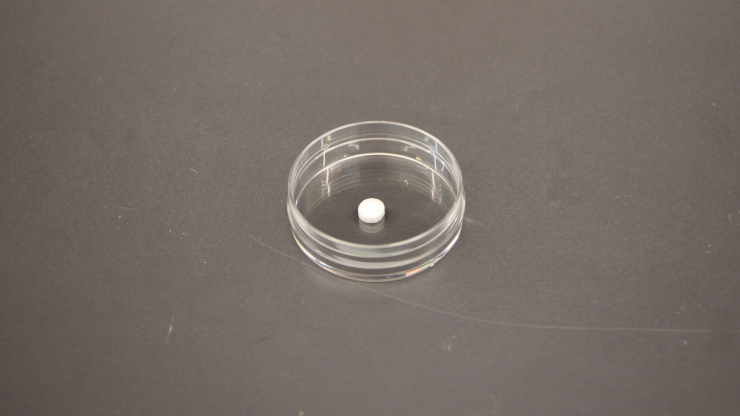 A small tablet in a dish. The small tablet can be placed under the tongue where it immediately dissolves and delivers the vaccine into the body