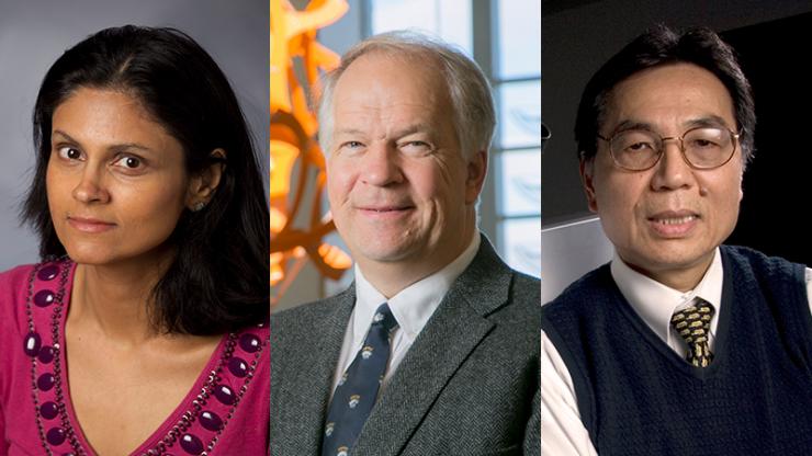 Nimmi Ramanujam, David Izatt and Tuan Vo-Dinh were elected to the National Academy of Inventors 