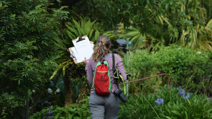 A student holding a clipboard heads into the rainforest