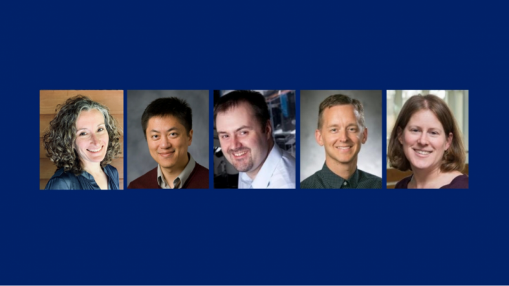 Collage of five Duke professors named Bass Fellows