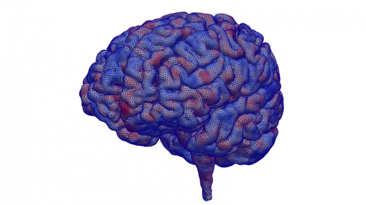 An MRI image of a brain with red and blue gradient colored on top