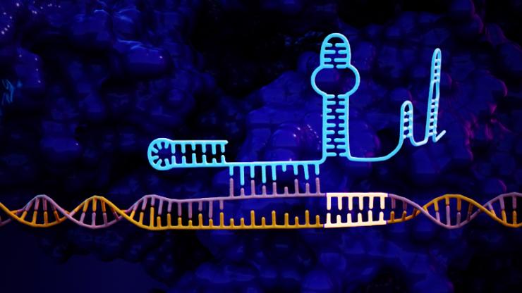 Neon depiction of CRISPR genetic sequence with added tail manipulating DNA