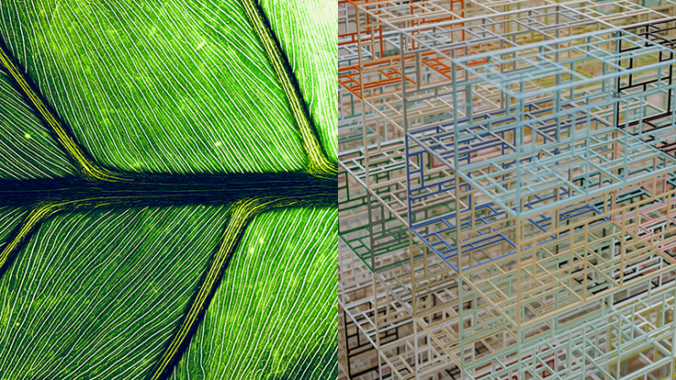 intricate structural details of a living leaf (left) and a bunch of 3D rectangles of various colors making a large structure