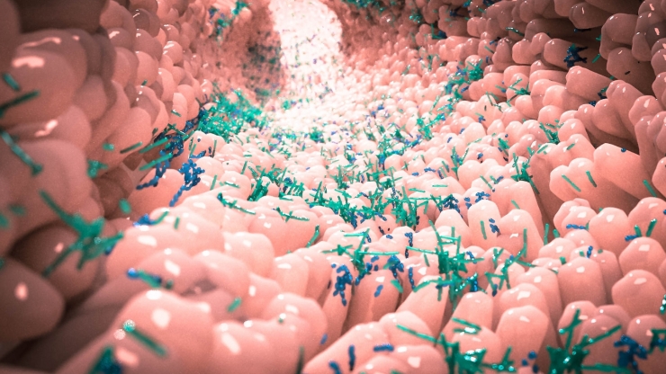 The inside of a tunnel lined by pink bulbs and scattered with green and blue cells