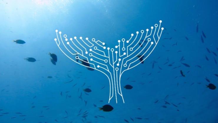 Duke Conservation Tech logo on ocean background