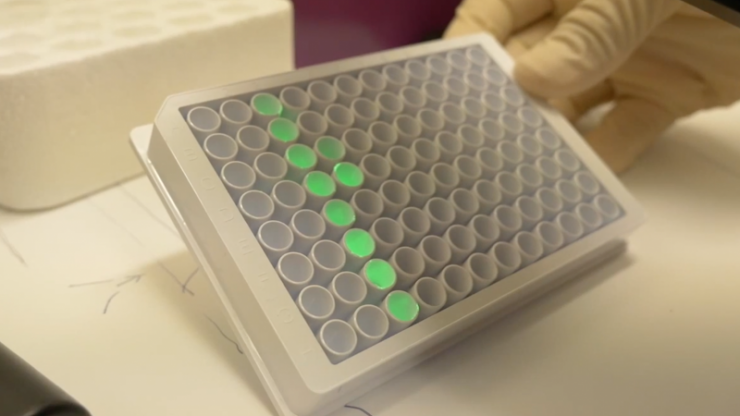 A light assay used in the new cancer treatment moving toward clinical trials