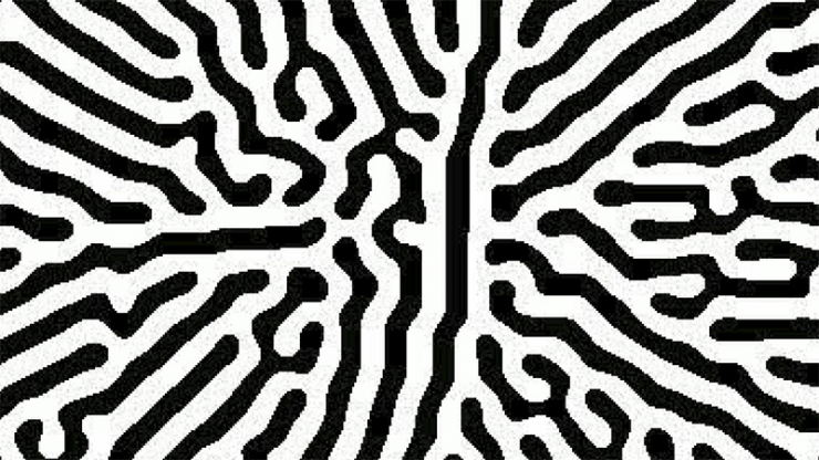 Squiggly black and white lines like a maze