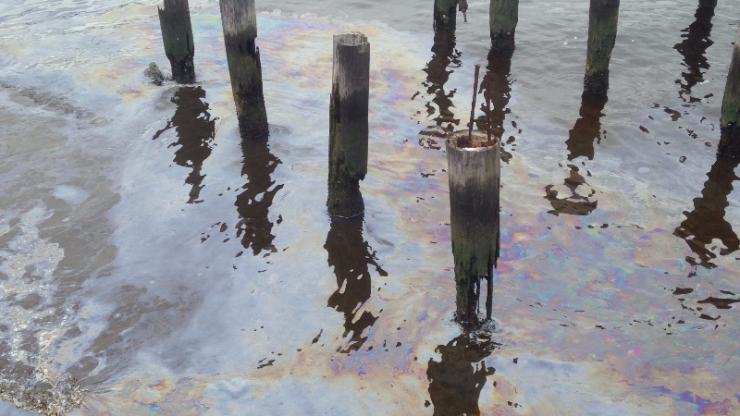 Creosote pollution on the Elizabeth River