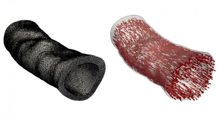 Two tubes of the same shape and features, one of black mesh and one of tiny red arrows all pointing to the right