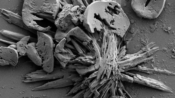 Image of particulate matter taken with scanning electron microscope