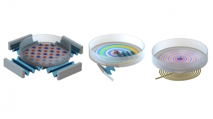 Three illustrations of petri dishes with different patterns inside