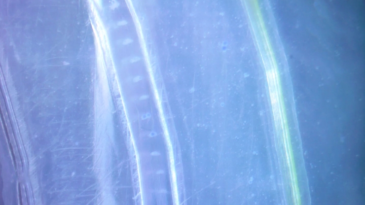A tube created by light blue boundaries with small particles within - all against a darker blue background