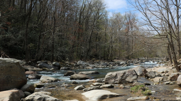 a rocky North Carolina stream