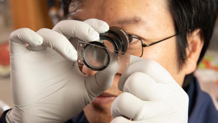 A man with white gloves looks through an eyepiece microscope at a slide