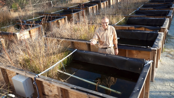 Mark Wiesner at the outdoor mesocosm facility