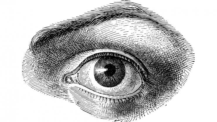 A black and white pencil sketch of an eye
