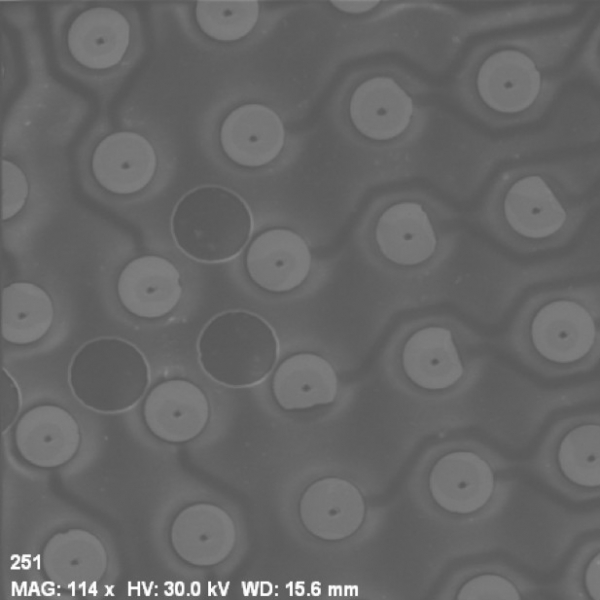 An electron microscope image taken by Kay Palopoli of tiny electrode array contacts.