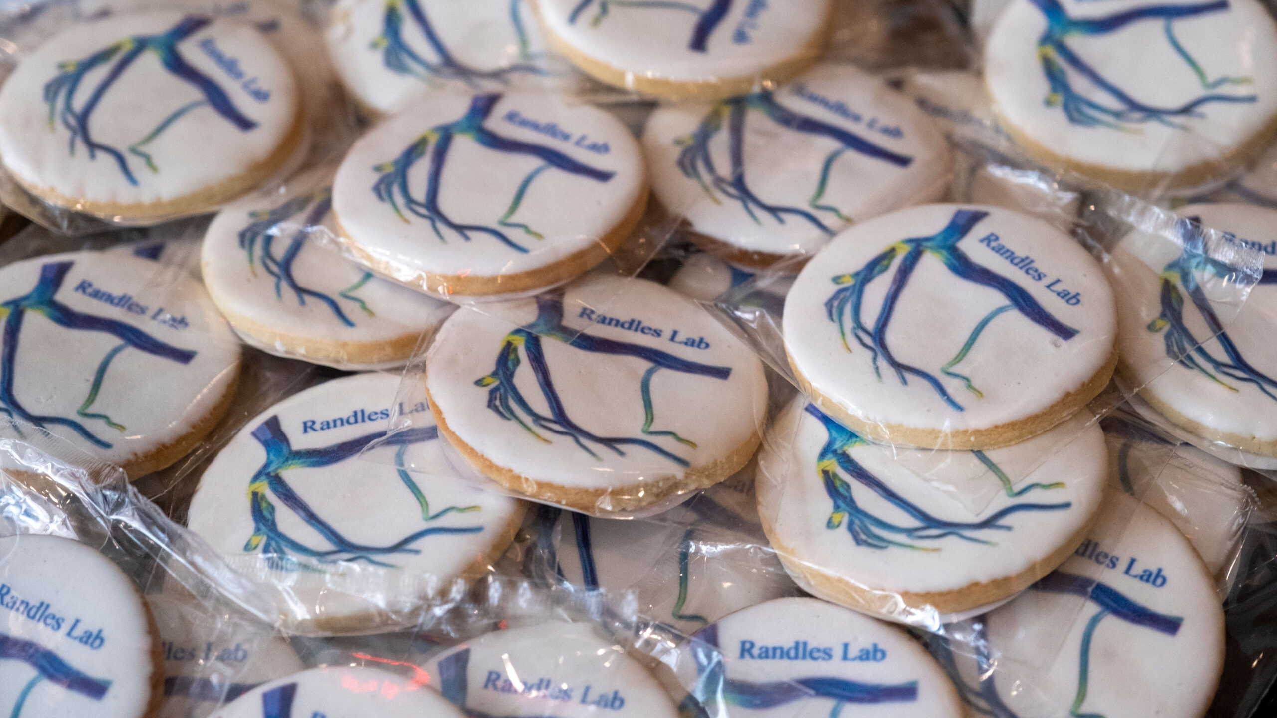 Cookies from different labs were available at the BME reception