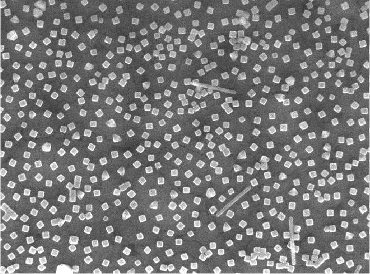 A greyscale microscopic image of a bunch of cubes randomly spaced out on a surface