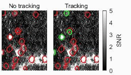 The video shows the results of the SUNS online technique without the “tracking” option enabled (left) and with the “tracking” option enabled (right). 