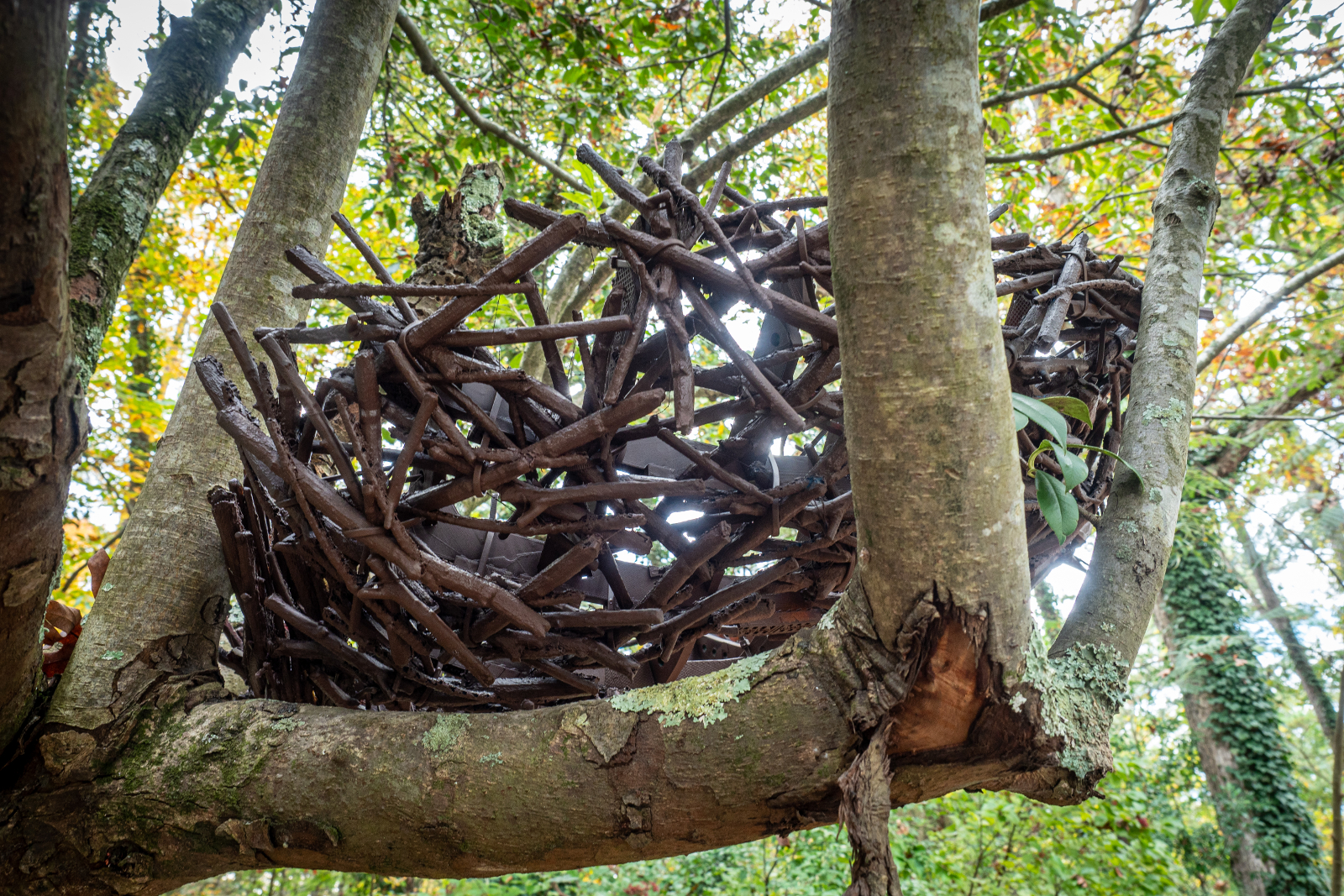 A large, artificial nest sitting in a tree