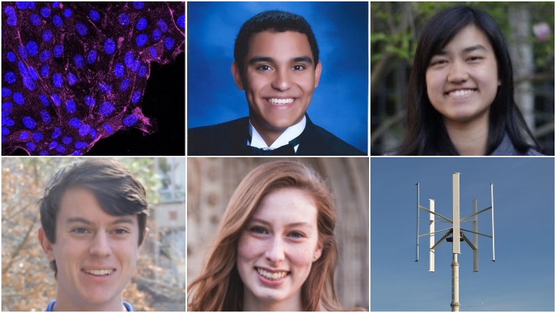Image of cells, selected Pratt Research Fellows of the Class of 2020, a vertical wind turbine
