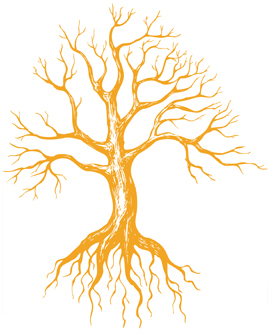 illustration of tree with roots