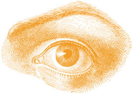 illustration of eye