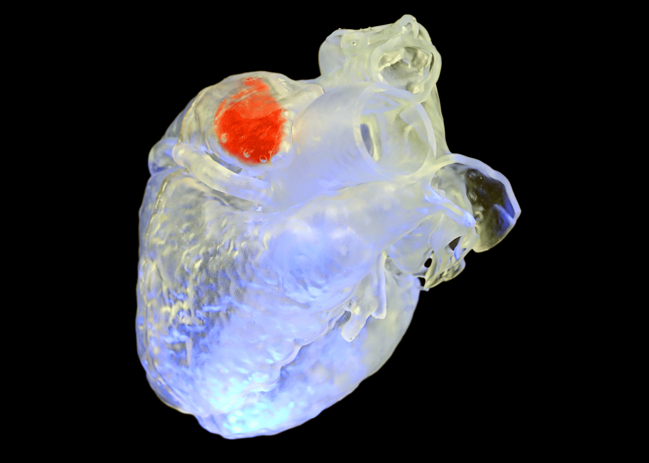 A clear heart shows the red sonoink in