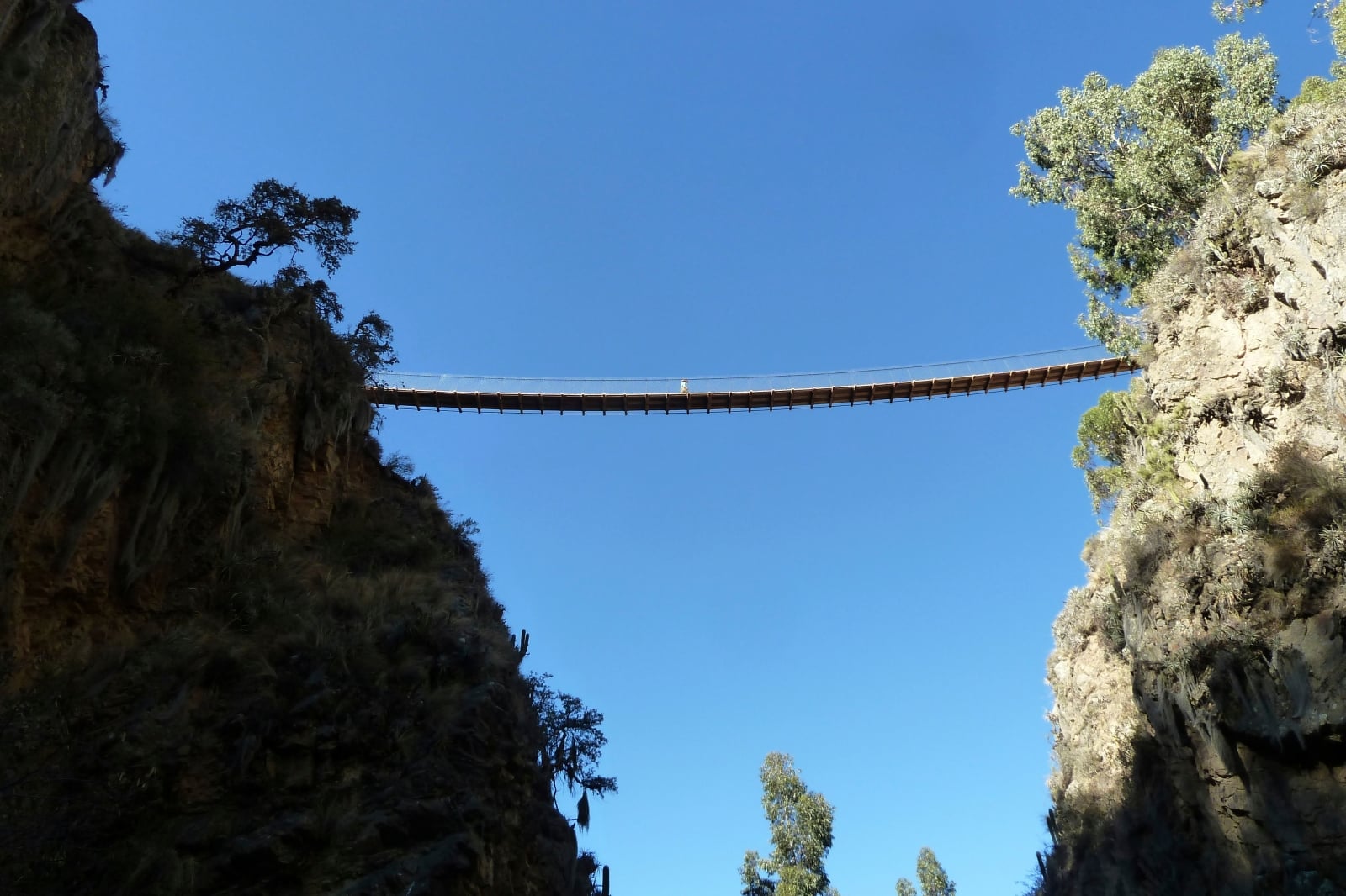 bridge in Bolivia built by DEID