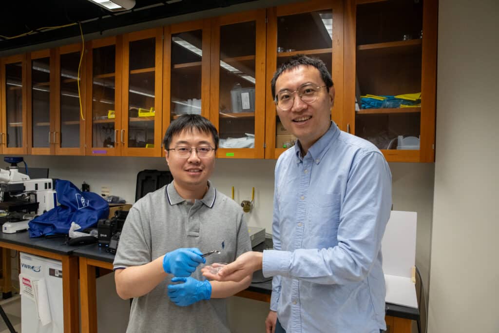 Haozhe "Harry" Wang and Xingjian Hu hold a piece of MXene in a lab.