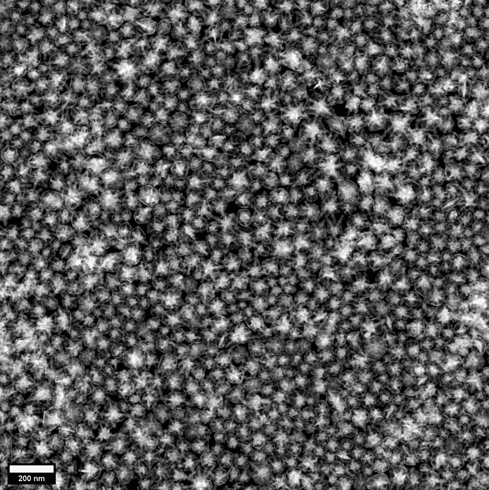 transmission electron microscope images shows a collection of the gold-plated nanostars