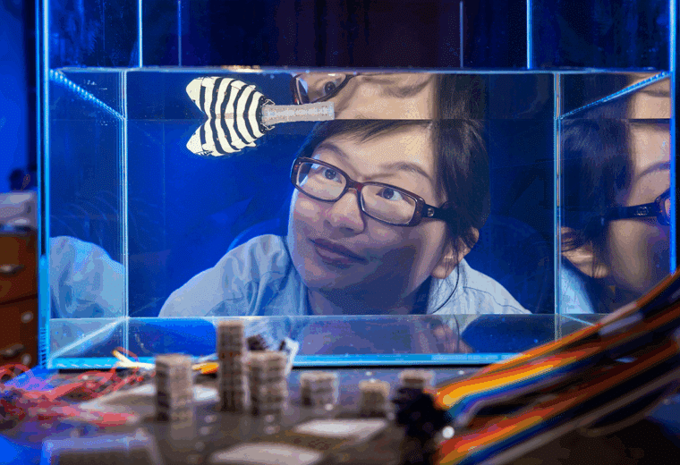 a woman looking into a fish tank at a robotic fish