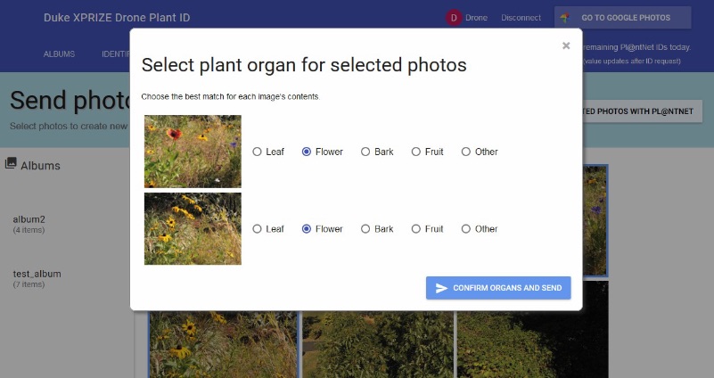 screen grab of the plant identification app