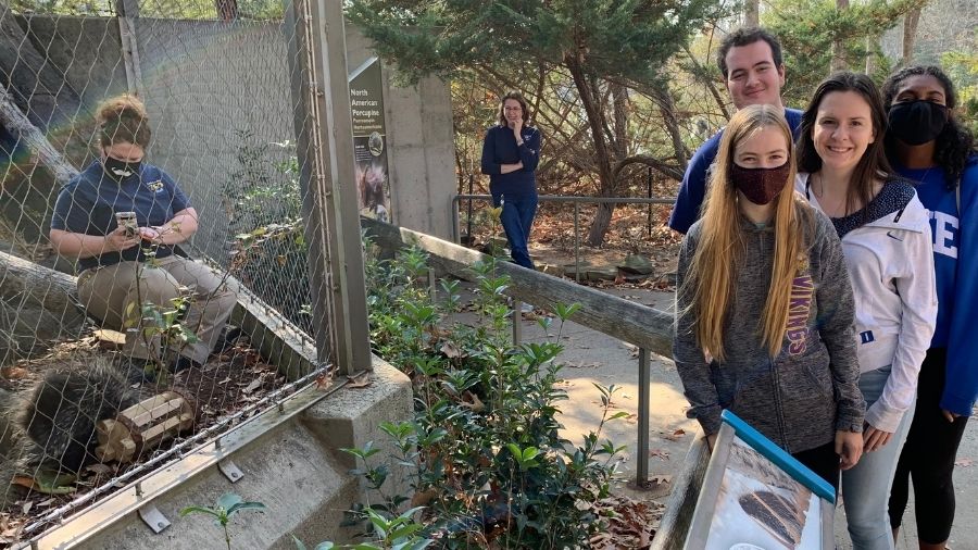 Students at the N.C. Zoo watch Rime the porcupine play with the enrichment toy they designed 